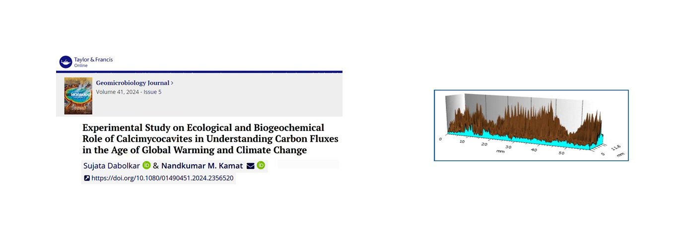 Geomicrobiology Journal. 41(5); 2024; 577-583